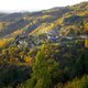 Le Fruitier des Cévennes