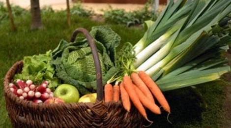 fruits et légumes production locale