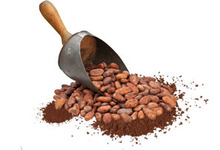 Retour aux sources garanti avec ce produit...Des fèves de cacao enrobées d’une fine couche de chocolat noir puis roulées dans de la poudre de cacao nature ou gingembre, ou encore piment.