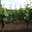 Domaine Saint-Joseph