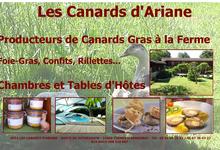 Les Canards d'Ariane