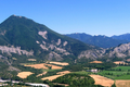 La Davine-Manteyer, produits à base de lait de brebis