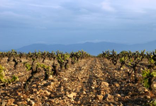 Domaine De La Madeleine