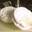 Fromage de chèvre