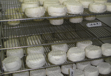 fromages sur grille de séchage