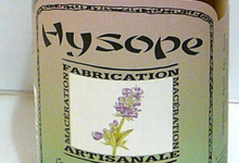 Hysope  