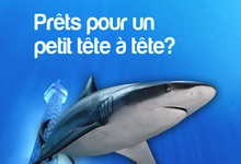 Brunch du dimanche de l'Aquarium de Paris
