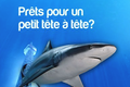 Brunch du dimanche de l'Aquarium de Paris