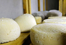 Tomme de chèvre
