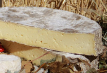 Tomme de vache