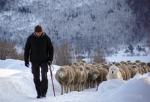 La Ferme des Roux 