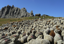 La Ferme des Roux 