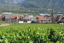 Domaine de la Clochère 