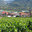 Domaine de la Clochère 