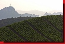 Domaine Pouderoux