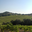 Domaine Mosconi
