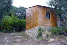 U MANDRIOLU, plantes aromatiques, agrumes