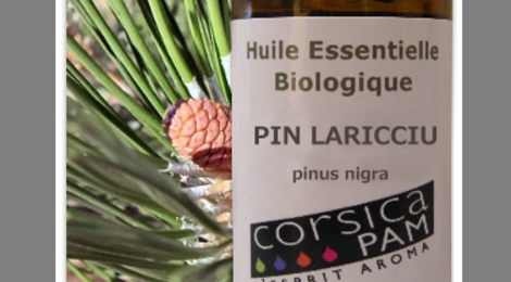 Huile Essentielle Bio De Pin Lariciu 