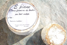 tome fermière de brebis