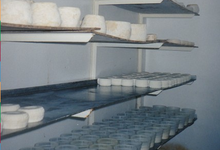 Marie Paule Cesari, fromage de brebis
