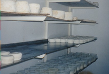 Fromage de Brebis