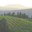 Clos Lucciardi
