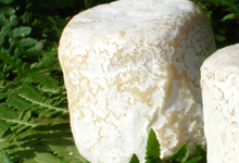 U SAN LURENZU • Crottin de chèvre
