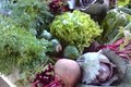 Panier de légumes bio