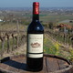AOC Bergerac Rouge 2009