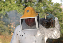 Miellerie de Tavera, apiculture, castanéiculture