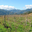 Domaine de torraccia