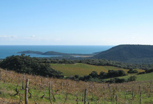 Domaine de torraccia