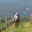 Domaine de torraccia