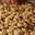 dominique spinosi, farine de chataigne