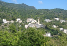 dominique domestici, farine de chataigne