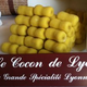 Cocon de Lyon