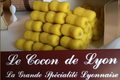 Cocon de Lyon