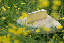Comté