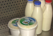 Fromagerie des marronniers