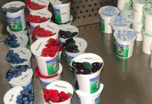 Fromagerie des marronniers