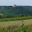Domaine Maria Cuny