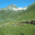 Miel de montagne