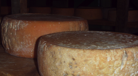 fromage de vache bio