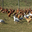 Ferme de Caoué 