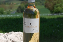 Côtes de Gascogne Blanc Doux- Au Bois de la Lune