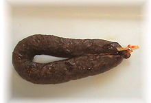 chorizo