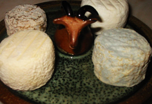 Crottin de Chavignol