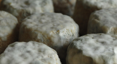 crottin de Chavignol