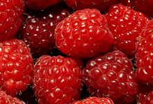Ty Neol, fraises et framboises