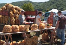 Fête de la Patate